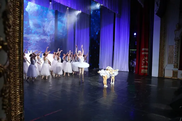 «Жизнь моя – культура»  11 декабря 2025 г. Краснодар