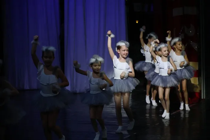 «Жизнь моя – культура»  11 декабря 2025 г. Краснодар