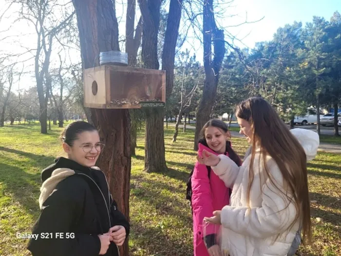 операция "Кормушка"